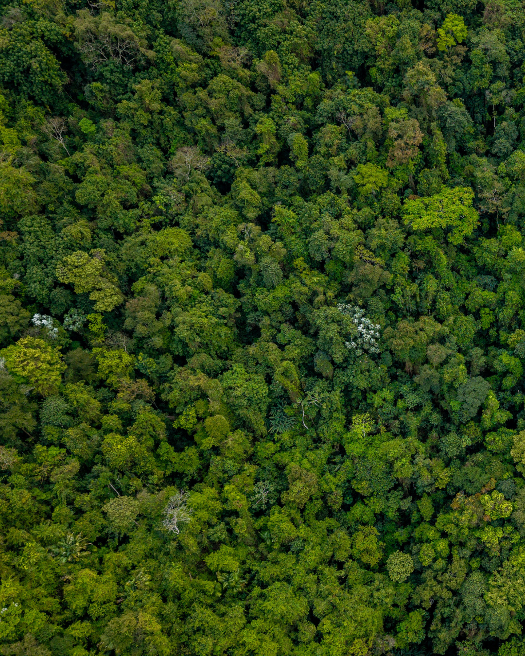 Lea Racca Conférence 4 mondes